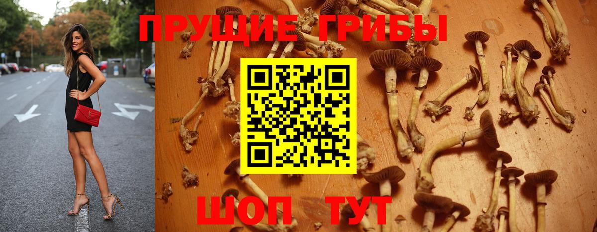 Галлюциногенные грибы Psilocybe  Галлюциногенные грибы Cubensis  Вход с VPN  Кандалакша 